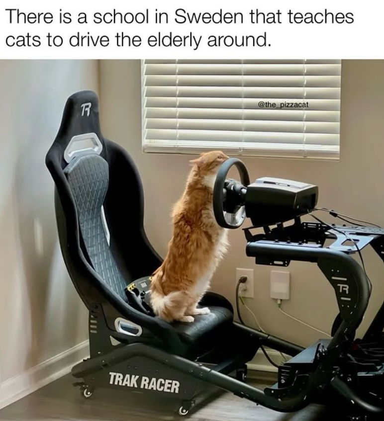 There is a school in Sweden that teaches cats to drive the elderly around. R TRAK RACER @the_pizzacat R
