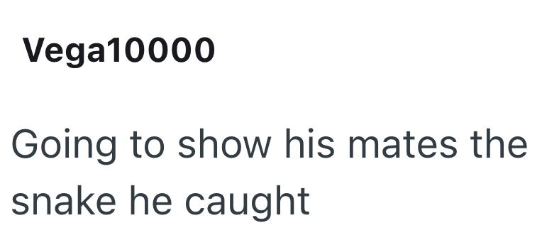 Vega10000 Going to show his mates the snake he caught