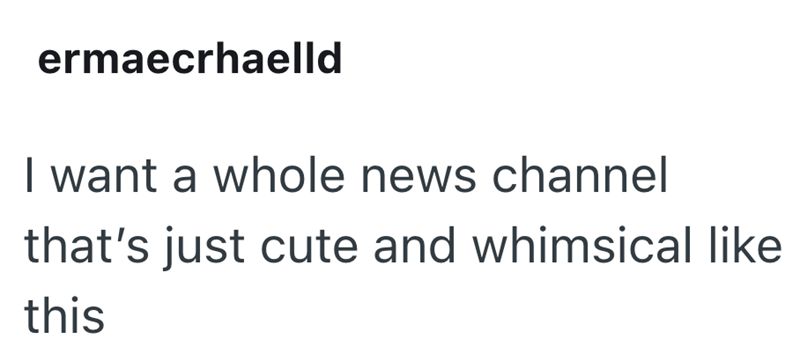 ermaecrhaelld I want a whole news channel that's just cute and whimsical like this