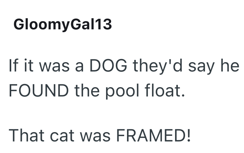 GloomyGal13 If it was a DOG they'd say he FOUND the pool float. That cat was FRAMED!