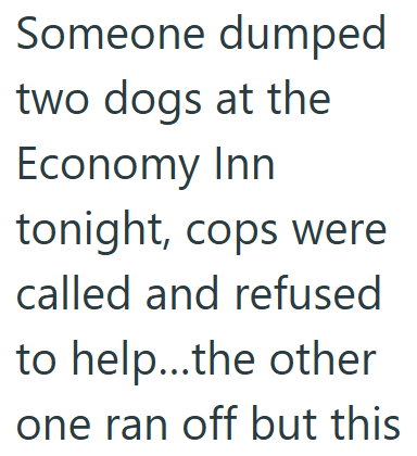 Someone dumped two dogs at the Economy Inn tonight, cops were called and refused to help...the other one ran off but this