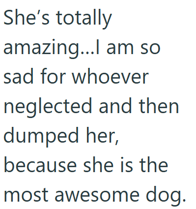 She's totally amazing...I am so sad for whoever neglected and then dumped her, because she is the most awesome dog.