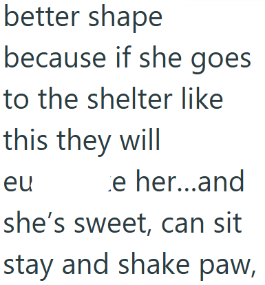 better shape because if she goes to the shelter like this they will eu e her...and she's sweet, can sit stay and shake paw,