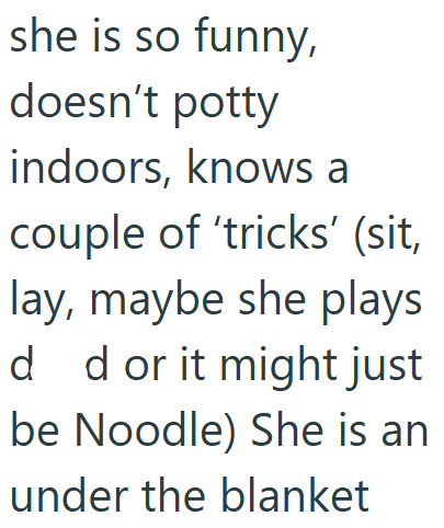 she is so funny, doesn't potty indoors, knows a couple of 'tricks' (sit, lay, maybe she plays d d or it might just be Noodle) She is an under the blanket