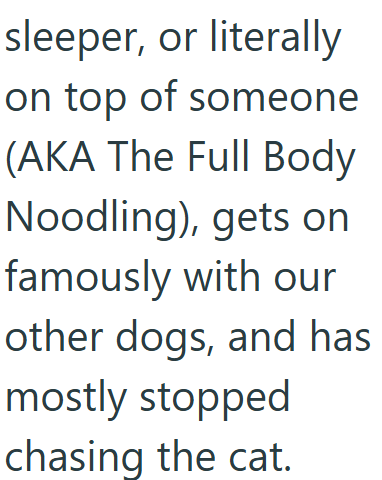 sleeper, or literally on top of someone (AKA The Full Body Noodling), gets on famously with our other dogs, and has mostly stopped chasing the cat.