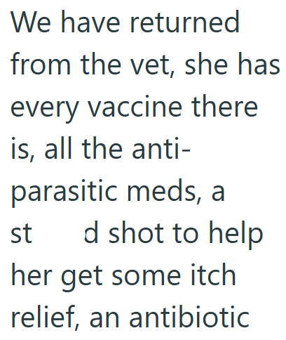 We have returned from the vet, she has every vaccine there is, all the anti- parasitic meds, a st d shot to help her get some itch relief, an antibiotic