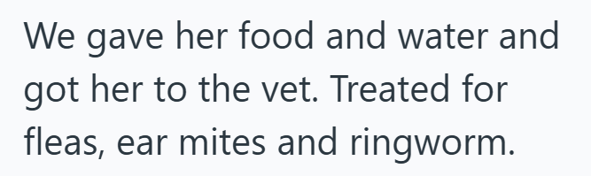 We gave her food and water and got her to the vet. Treated for fleas, ear mites and ringworm.