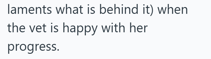 laments what is behind it) when the vet is happy with her progress.