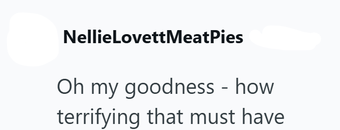 Nellie LovettMeatPies Oh my goodness - how terrifying that must have