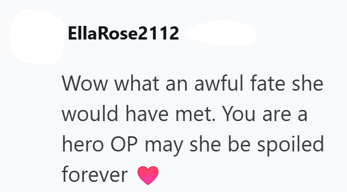 Ella Rose2112 Wow what an awful fate she would have met. You are a hero OP may she be spoiled forever