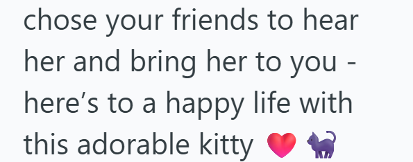 chose your friends to hear her and bring her to you - here's to a happy life with this adorable kitty