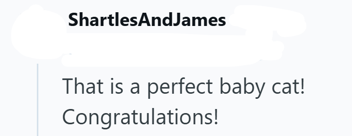 ShartlesAndJames That is a perfect baby cat! Congratulations!