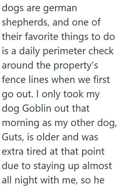 dogs are german shepherds, and one of their favorite things to do is a daily perimeter check around the property's fence lines when we first go out. I only took my dog Goblin out that morning as my other dog, Guts, is older and was extra tired at that point due to staying up almost all night with me, so he