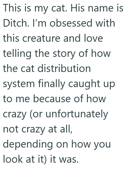 This is my cat. His name is Ditch. I'm obsessed with this creature and love telling the story of how the cat distribution system finally caught up to me because of how crazy (or unfortunately not crazy at all, depending on how you look at it) it was.