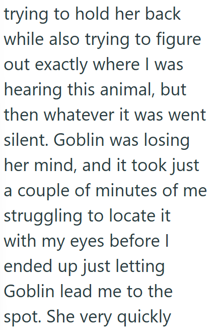 trying to hold her back while also trying to figure out exactly where I was hearing this animal, but then whatever it was went silent. Goblin was losing her mind, and it took just a couple of minutes of me struggling to locate it with my eyes before I ended up just letting Goblin lead me to the spot. She very quickly
