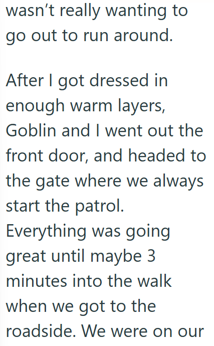 wasn't really wanting to go out to run around. After I got dressed in enough warm layers, Goblin and I went out the front door, and headed to the gate where we always start the patrol. Everything was going great until maybe 3 minutes into the walk when we got to the roadside. We were on our
