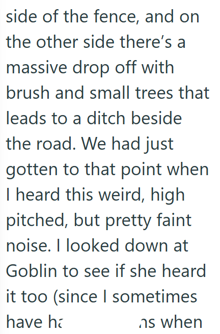 side of the fence, and on the other side there's a massive drop off with brush and small trees that leads to a ditch beside the road. We had just gotten to that point when I heard this weird, high pitched, but pretty faint noise. I looked down at Goblin to see if she heard it too (since I sometimes have h ns when