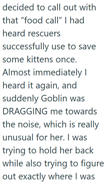 decided to call out with that "food call" I had heard rescuers successfully use to save some kittens once. Almost immediately I heard it again, and suddenly Goblin was DRAGGING me towards the noise, which is really unusual for her. I was trying to hold her back while also trying to figure out exactly where I was