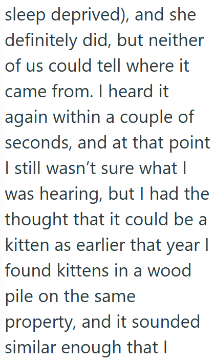 sleep deprived), and she definitely did, but neither of us could tell where it came from. I heard it again within a couple of seconds, and at that point I still wasn't sure what I was hearing, but I had the thought that it could be a kitten as earlier that year I found kittens in a wood pile on the same property, and it sounded similar enough that I