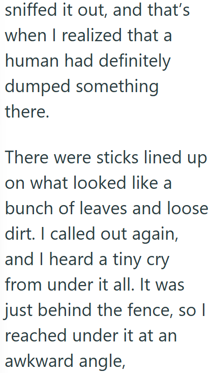 sniffed it out, and that's when I realized that a human had definitely dumped something there. There were sticks lined up on what looked like a bunch of leaves and loose dirt. I called out again, and I heard a tiny cry from under it all. It was just behind the fence, so I reached under it at an awkward angle,