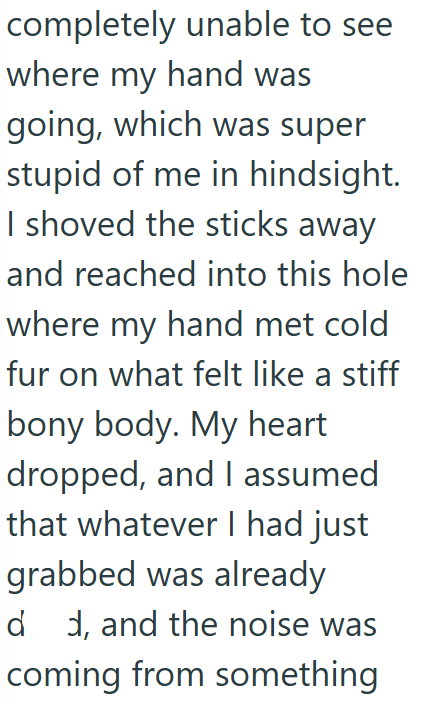 completely unable to see where my hand was going, which was super stupid of me in hindsight. I shoved the sticks away and reached into this hole where my hand met cold fur on what felt like a stiff bony body. My heart dropped, and I assumed that whatever I had just grabbed was already dd, and the noise was coming from something