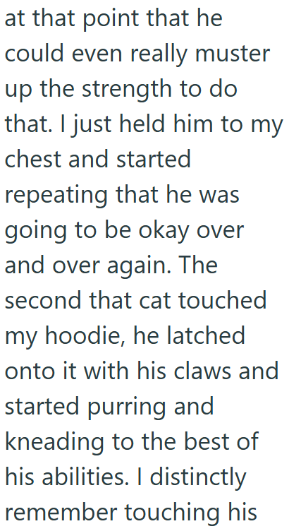 at that point that he could even really muster up the strength to do that. I just held him to my chest and started repeating that he was going to be okay over and over again. The second that cat touched my hoodie, he latched onto it with his claws and started purring and kneading to the best of his abilities. I distinctly remember touching his