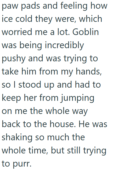 paw pads and feeling how ice cold they were, which worried me a lot. Goblin was being incredibly pushy and was trying to take him from my hands, so I stood up and had to keep her from jumping on me the whole way back to the house. He was shaking so much the whole time, but still trying to purr.