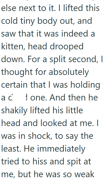 else next to it. I lifted this cold tiny body out, and saw that it was indeed a kitten, head drooped down. For a split second, I thought for absolutely certain that I was holding ad one. And then he 1 shakily lifted his little head and looked at me. I was in shock, to say the least. He immediately tried to hiss and spit at me, but he was so weak