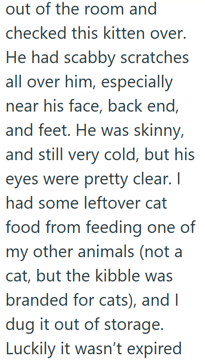 out of the room and checked this kitten over. He had scabby scratches all over him, especially near his face, back end, and feet. He was skinny, and still very cold, but his eyes were pretty clear. I had some leftover cat food from feeding one of my other animals (not a cat, but the kibble was branded for cats), and I dug it out of storage. Luckily it wasn't expired