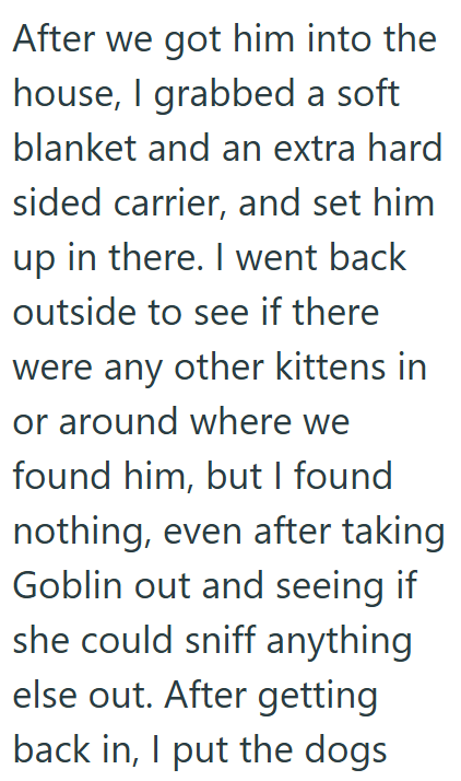 After we got him into the house, I grabbed a soft blanket and an extra hard sided carrier, and set him up in there. I went back outside to see if there were any other kittens in or around where we found him, but I found nothing, even after taking Goblin out and seeing if she could sniff anything else out. After getting back in, I put the dogs