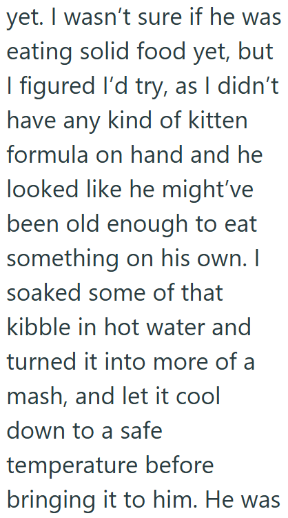 yet. I wasn't sure if he was eating solid food yet, but I figured I'd try, as I didn't have any kind of kitten formula on hand and he looked like he might've been old enough to eat something on his own. I soaked some of that kibble in hot water and turned it into more of a mash, and let it cool down to a safe temperature before bringing it to him. He was