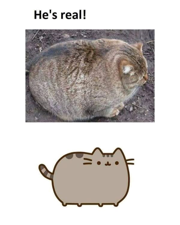 He's real!