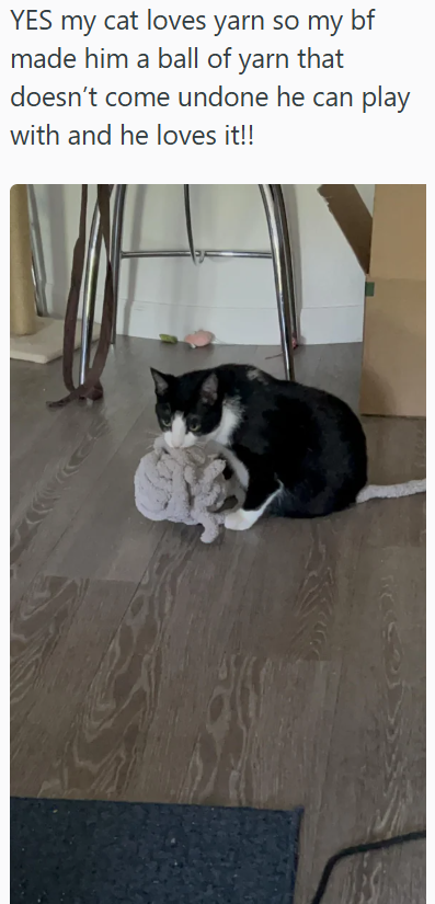 YES my cat loves yarn so my bf made him a ball of yarn that doesn't come undone he can play with and he loves it!!