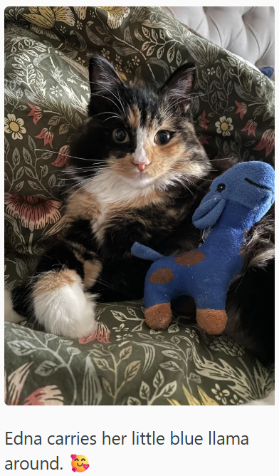Edna carries her little blue llama around.