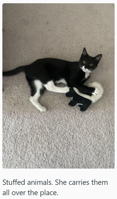 Stuffed animals. She carries them all over the place.