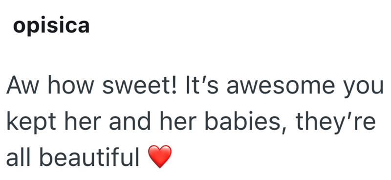 opisica Aw how sweet! It's awesome you kept her and her babies, they're all beautiful