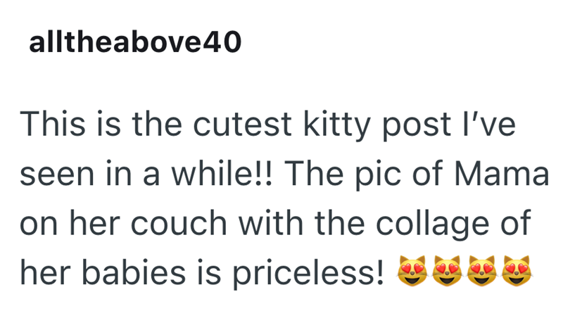 alltheabove 40 This is the cutest kitty post I've seen in a while!! The pic of Mama on her couch with the collage of her babies is priceless!