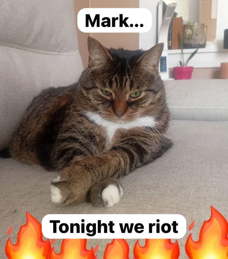 Mark... Tonight we riot