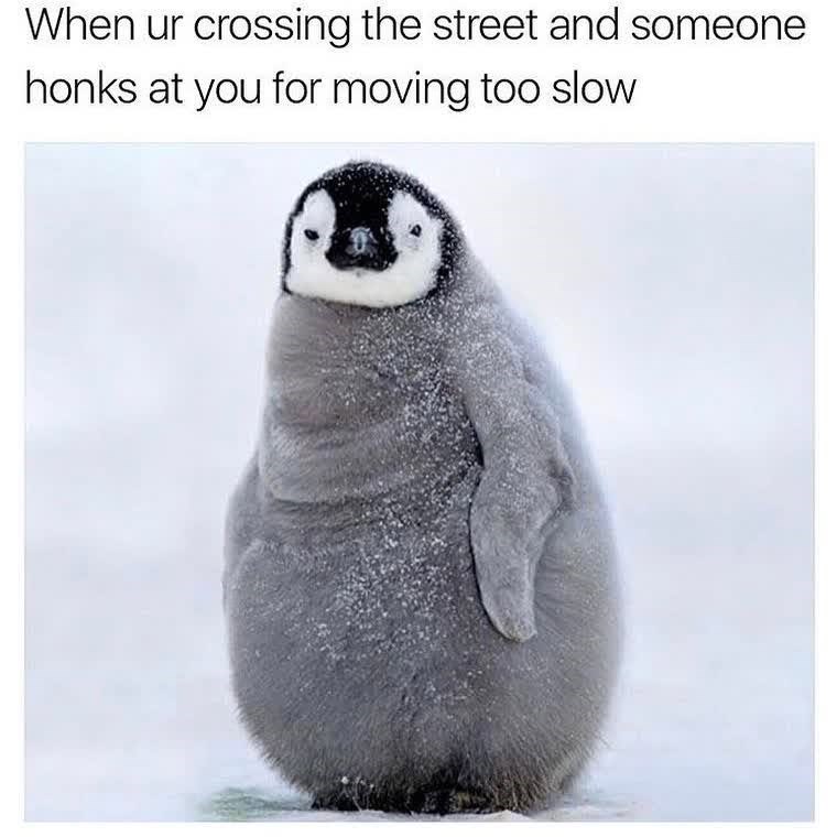 When ur crossing the street and someone honks at you for moving too slow
