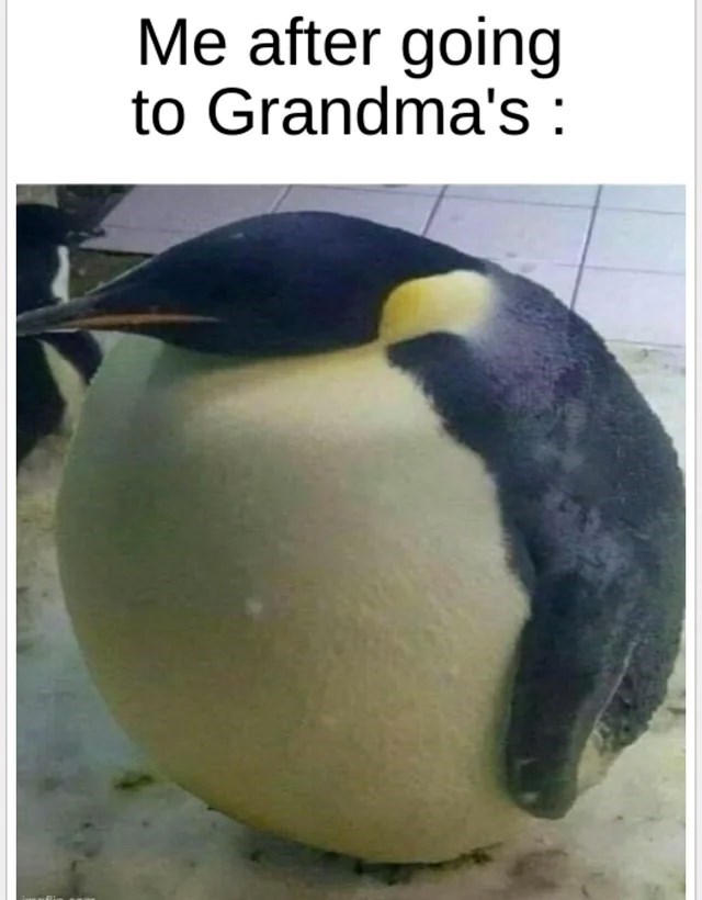 Me after going to Grandma's: