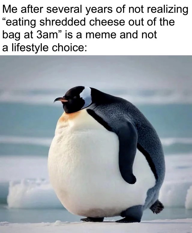 Me after several years of not realizing "eating shredded cheese out of the bag at 3am" is a meme and not a lifestyle choice: