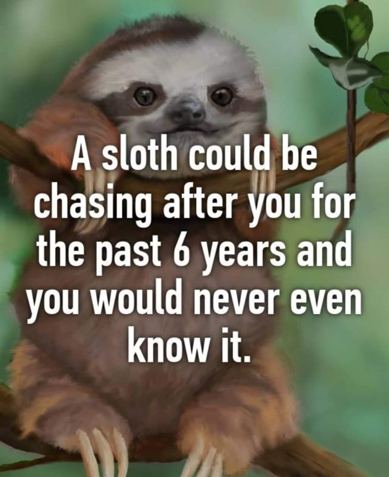 A sloth could be chasing after you for the past 6 years and you would never even know it.