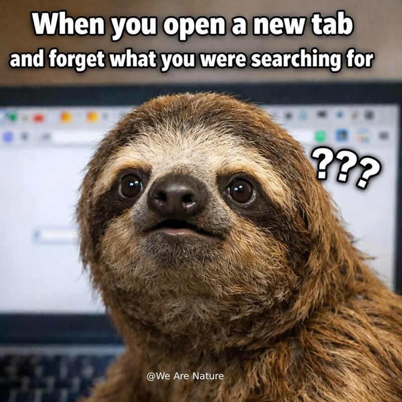 When you open a new tab and forget what you were searching for ??? @We Are Nature
