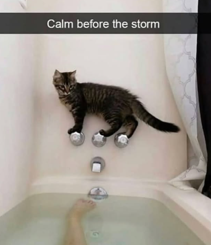 Calm before the storm