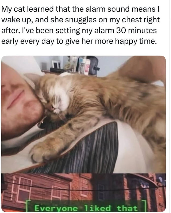 My cat learned that the alarm sound means | wake up, and she snuggles on my chest right after. I've been setting my alarm 30 minutes early every day to give her more happy time. Everyone liked that