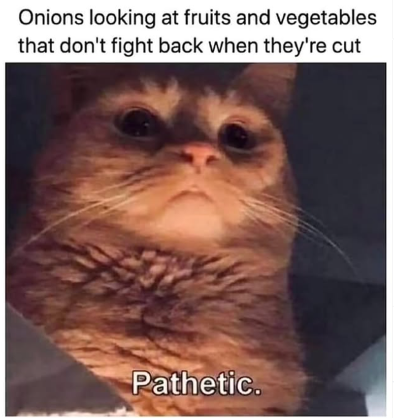 Onions looking at fruits and vegetables that don't fight back when they're cut Pathetic.