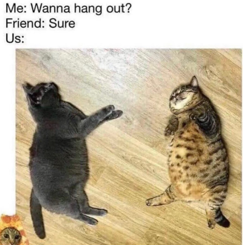  Wanna hang out? Friend: Sure Us: