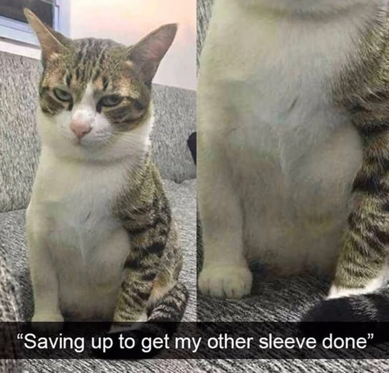 "Saving up to get my other sleeve done"