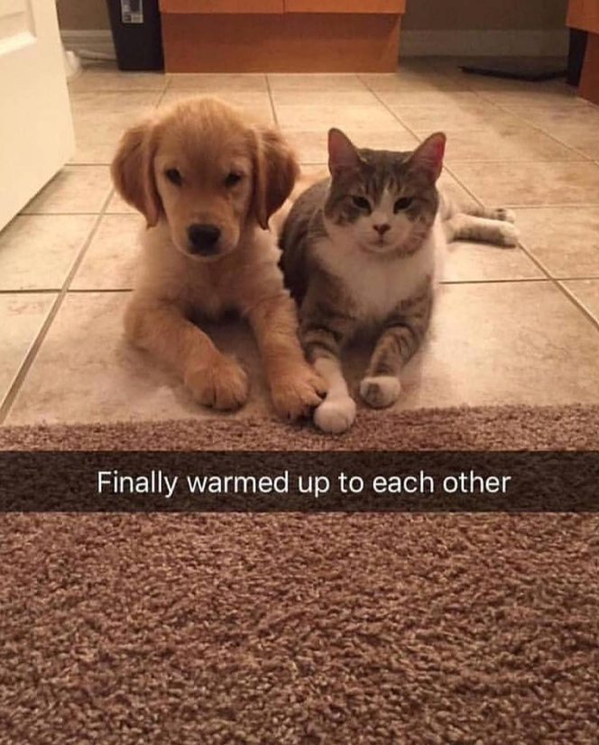 Finally warmed up to each other