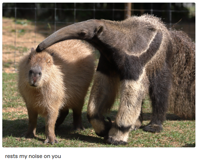 rests my noise on you